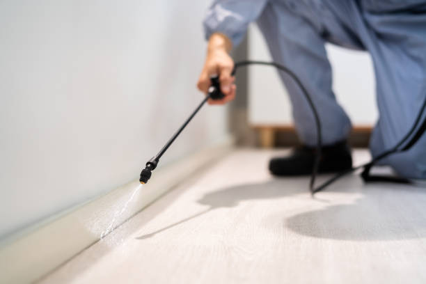 Professional exterminator conducting IPM assessment in Lake Worth